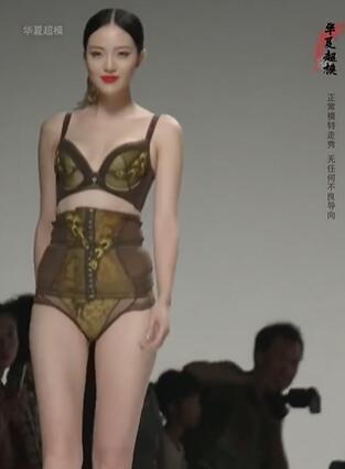 超模大赛百变丽人时尚塑身内衣秀