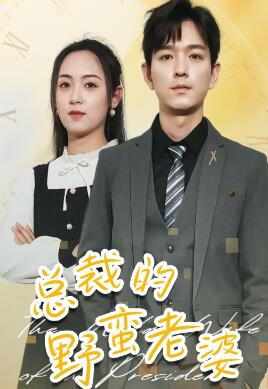 总裁的野蛮老婆