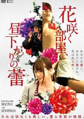 午后盛开的秘蜜花蕾