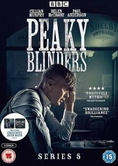 浴血黑帮第五季