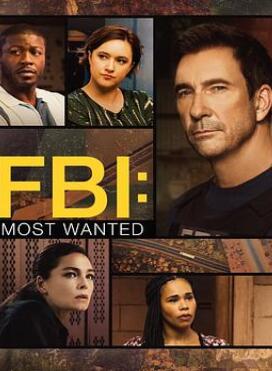 联邦调查局:通缉要犯第五季