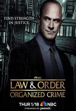 法律与秩序:组织犯罪第四季