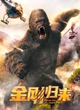 金刚归来2024