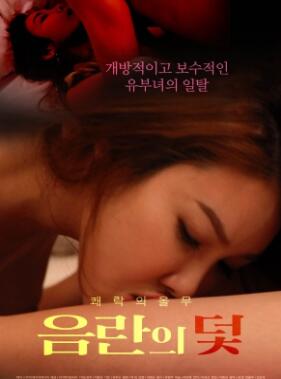 ���۵�����