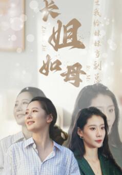 长姐如母之我给妹妹当副总