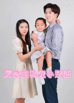厉总的私宠小娇妻