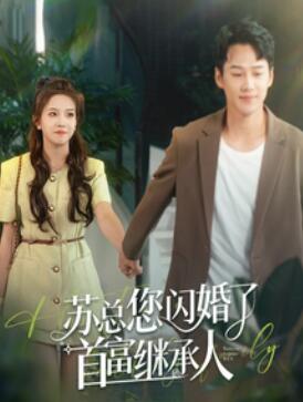 苏总您闪婚了首富继承人