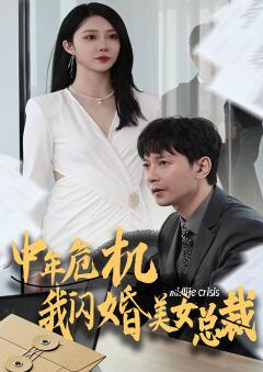 中年危机我闪婚美女总裁