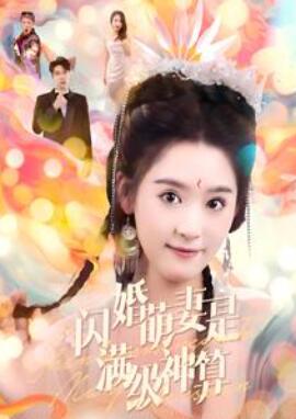 闪婚萌妻是满级神算