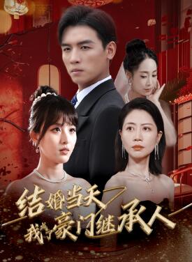 结婚当天我成了豪门继承人