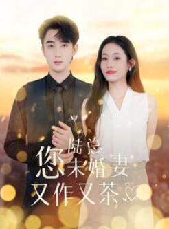 陆总您未婚妻又作又茶