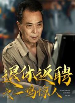 退休返聘之一鸣惊人