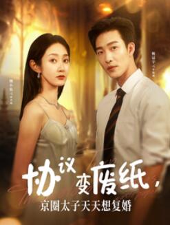 协议变废纸,京圈太子天天想复婚