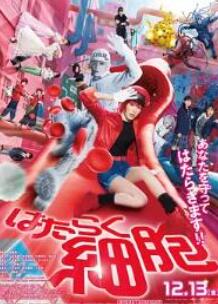 工作细胞 真人版