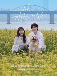 我这像狗一样的爱情