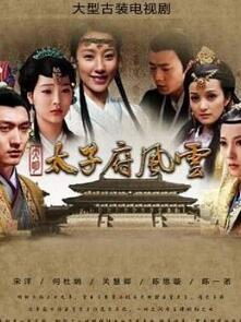 大明太子府风云