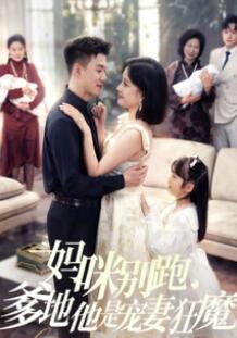 妈咪别跑,爹地他是宠妻狂魔